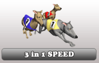 3 in 1 Speed
